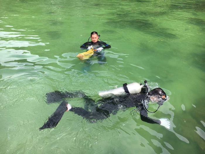 attractions halong bay top 15 halong bay must-sees halong bay diving cong do island